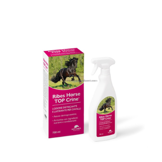 Ribes Horse Top Crine Lozione