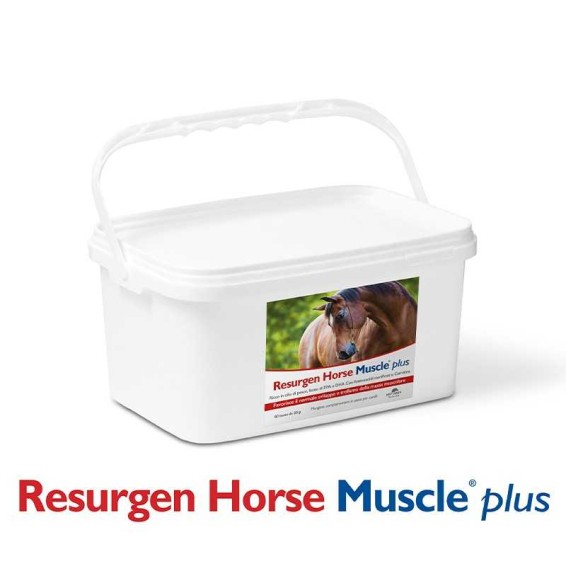 Resurgen Horse Muscle Pl60bust
