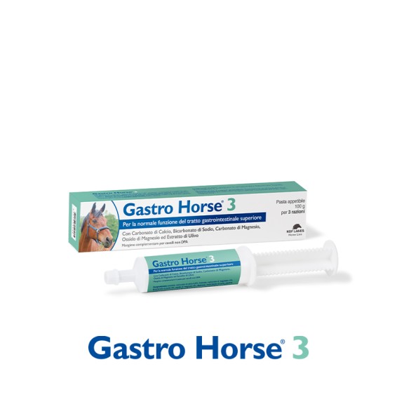 Gastro Horse 3 Cavallo Pasta