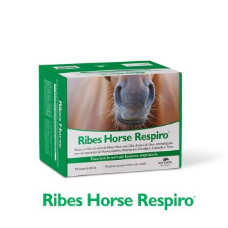 RIBES HORSE RESPIRO 10BUST