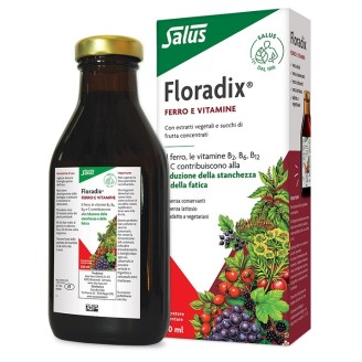 FLORADIX Integr.Ferro 250ml