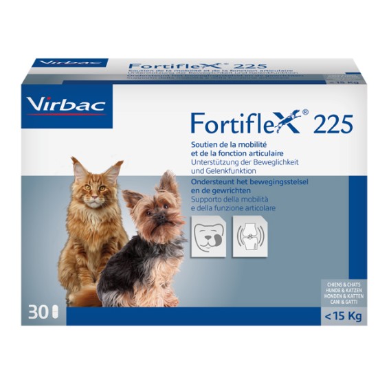 FORTIFLEX 375mg 30 Cpr