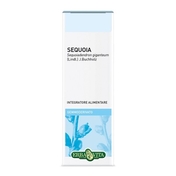 GEMMODERIVATO SEQUOIA 50ML EBV GEMMODERIVATO SEQUOIA 50ML EBV