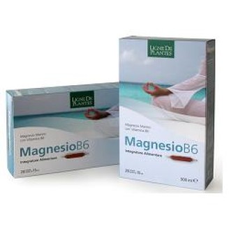 MAGNESIO B6 20AB 15ml N-S