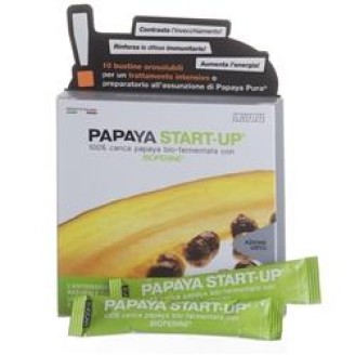 PAPAYA StartUp 10 Bust.ZUCCARI