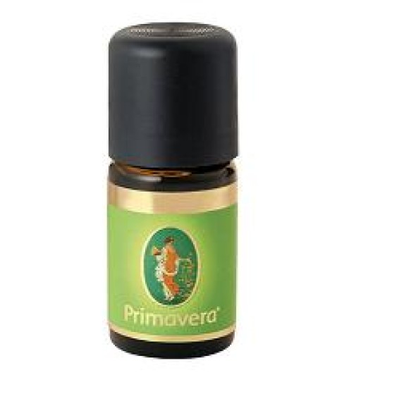 ZENZERO OLIO ESSENZIALE BIO5ML ZENZERO OLIO ESSENZIALE BIO5ML