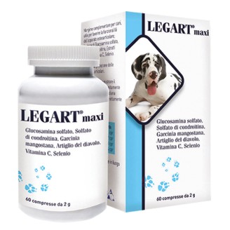 LEGART Maxi 60 Cpr 2g