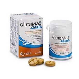 GLUTAMAX Fte  20 Cpr