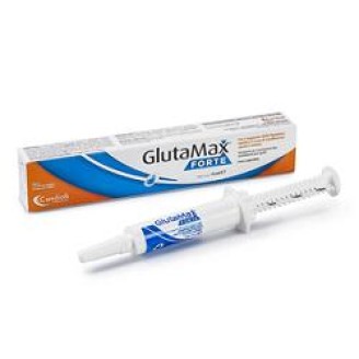 GLUTAMAX Fte Pasta 15ml