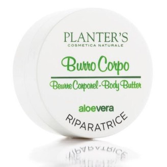 Planter's Aloe Burro Crp Ripa