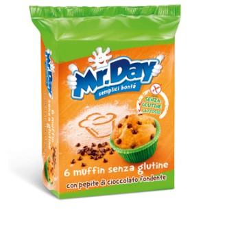 MR DAY Muffin Ciocc.6x42g