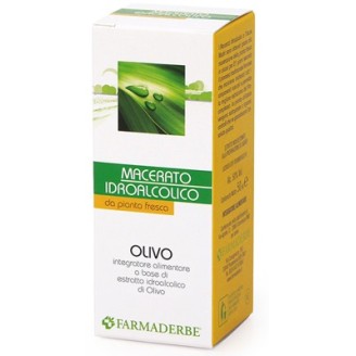 OLIVO MACERATO IDROALCOLICO