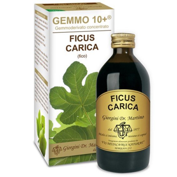 FICO Liq.Analc.Gemmo 10+ 200ml