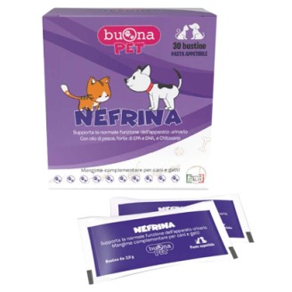 NEFRINA 30 Bust.