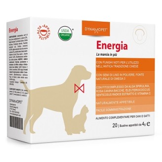 ENERGIA 20BUST 4G