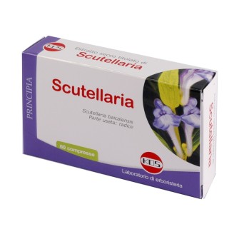 SCUTELLARIA ES 60CPR