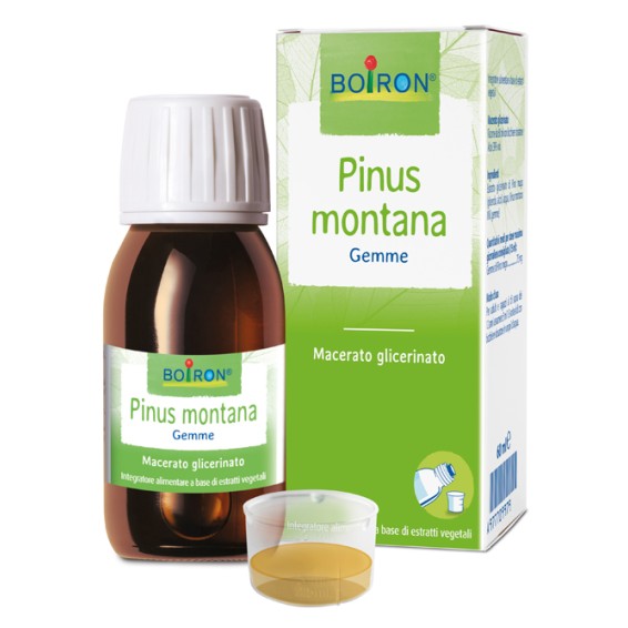 BO.PINUS MONT.MG 60ml