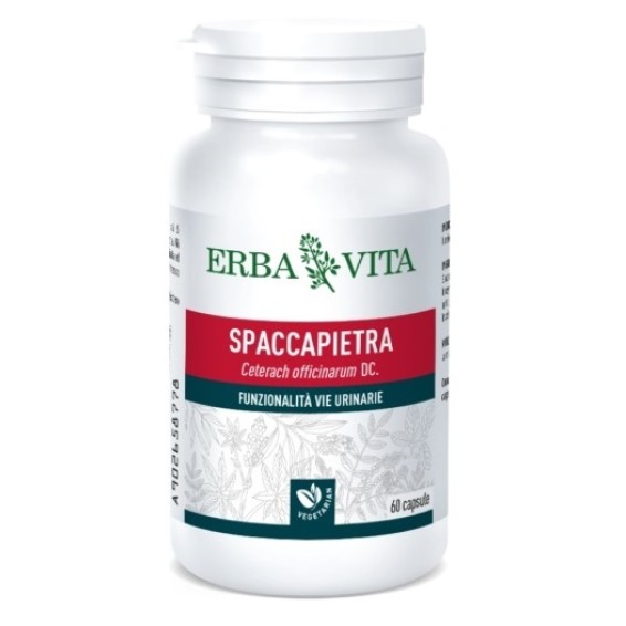 SPACCAPIETRA 60 Cps 500mg  EBV