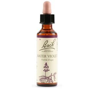 BACH 34 Water Violet 20ml LKR