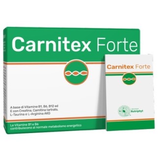 CARNITEX Forte*14 Bust.