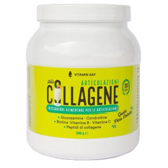 VITAMIN DAY Collagene Articol.