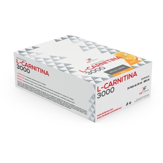 L CARNITINA 3000MG 24FL 25ML