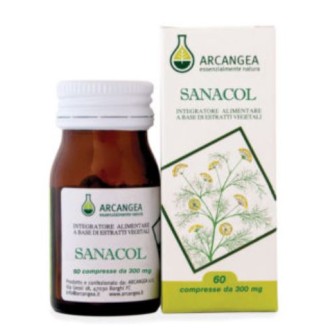 SANACOL 60 Cpr 500mg ACN