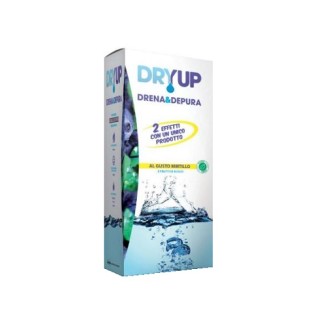 DRYUP Mirtillo 300ml