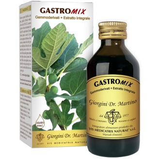 GASTROMIX Liq.Analc.200ml SVS