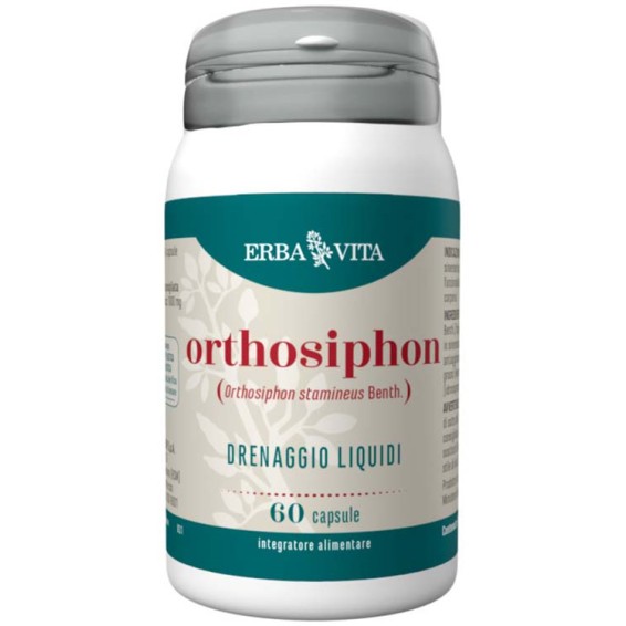 ORTHOSIPHON 60 Cps 450mg   EBV