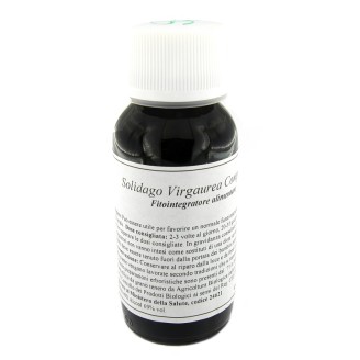 LVS 07N Solidago Virg.Comp.