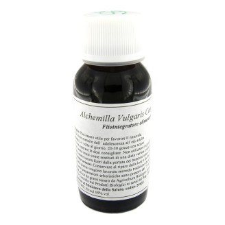 LVS 19N Alchemilla Vulg.Comp.