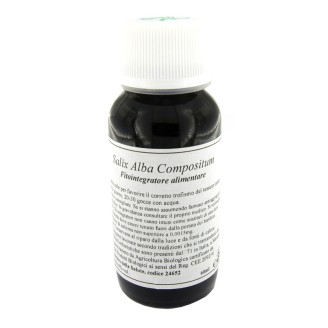 LVS 38N Salix Alba Comp.