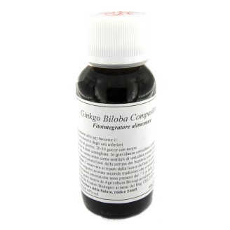 LVS 62S Ginkgo Biloba Comp.