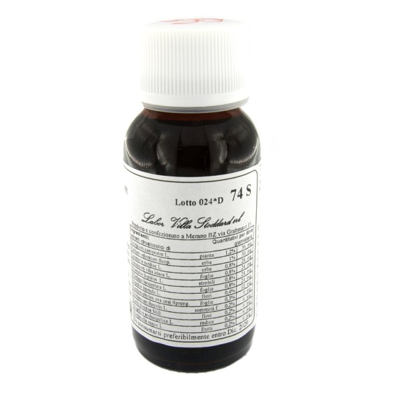 LVS 74S Eryngium Campestre Com