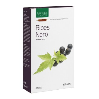 RIBES NERO BIO 20AB 15ML