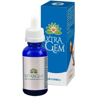 EXTRAGEM OLIVELLO SPINOSO MG G