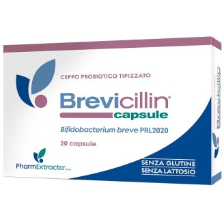 BREVICILLIN 20CPS           FR