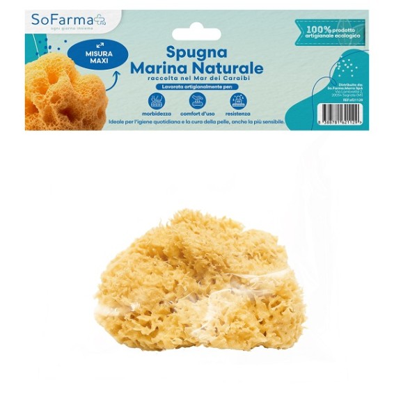 SPUGNA MARINA NATURALE MAXI SF+