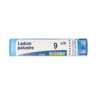 BO.LEDUM PALUSTRE Tubo  9CH