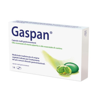 GASPAN 90+50mg 14 Cps