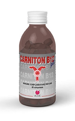 CARNITON B12 Pet 80 Cpr x Cani