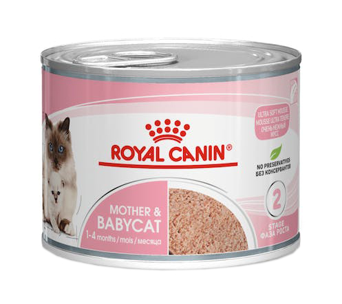 FELINE HN BABYCAT INSTI 10 195 img 2